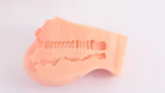 مقطع عرضي للدمية يكشف القناتين الداخليتين بملمسهما المضلع والمنقط
